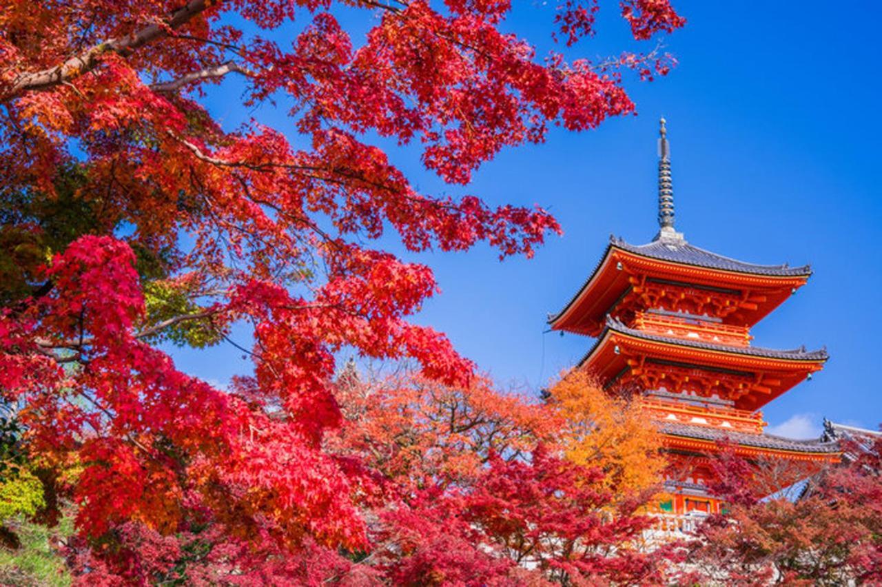 出来島サクラハウス一戸建 Sakura House Terrace 阪神出来島駅徒歩2分 Usj近く Dekijima Villa Osaka Luaran gambar